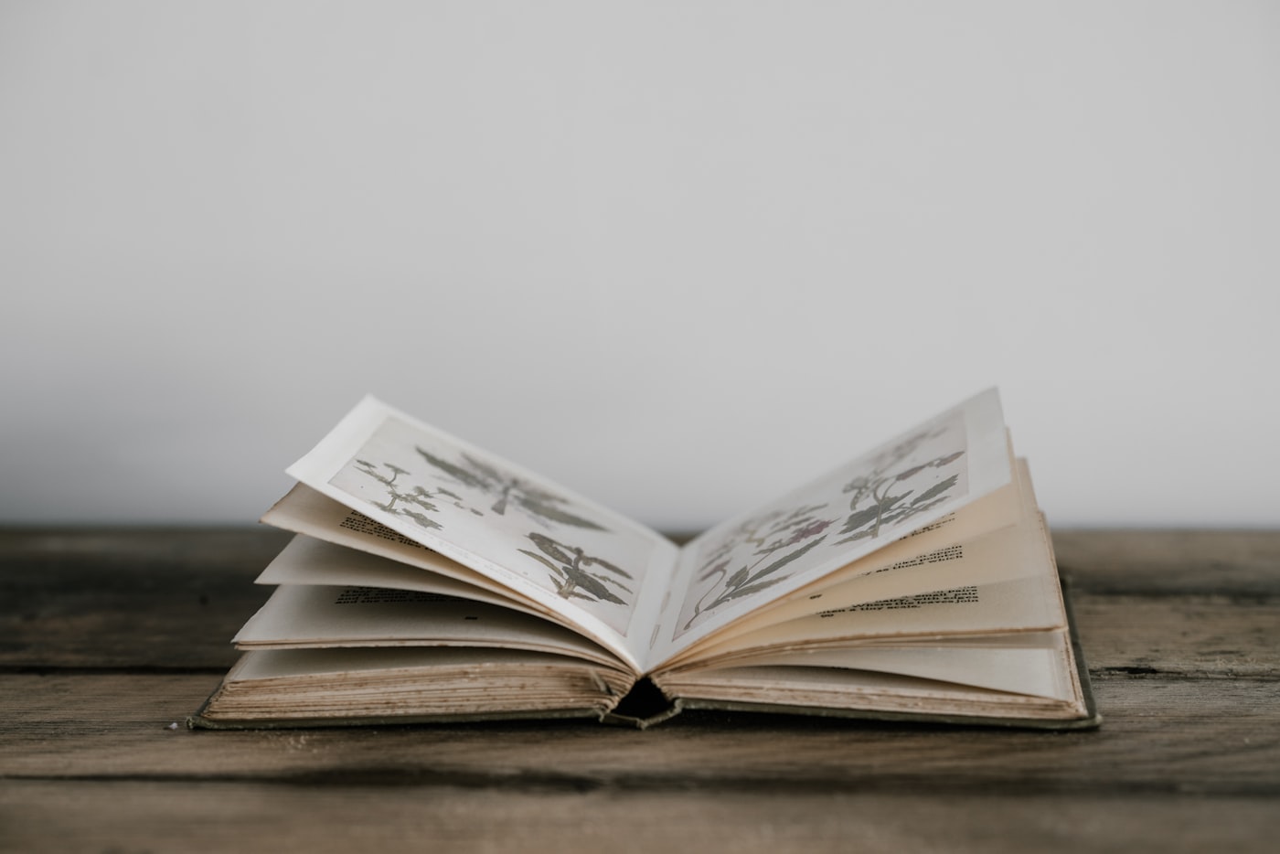 Libro ilustrado abierto por la mitad sobre una mesa de madera.